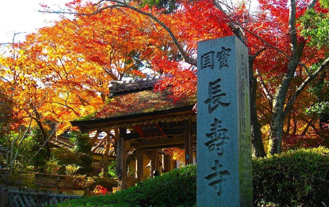 こころの寺めぐり